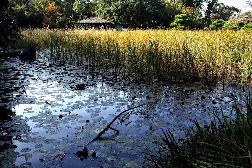 🏯 아카시 성터(明石城跡) 이미지 9